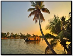 KERALA DELIGHT