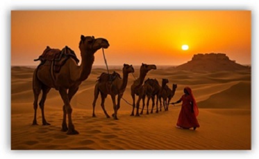 ROYAL RAJASTHAN