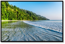 ANDAMAN with BARATANG & CRUISE DINNER