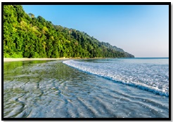 ANDAMAN WITH BARATANG & CRUISE DINNER