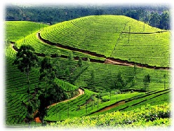 KARNATAKA ODYSSEY
