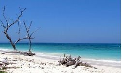 MAGICAL ANDAMAN HOLIDAY GOLD