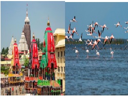PURI DHAM WITH BHUBANESWAR - KONARK - CHILKA