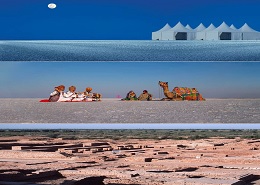 RANN OF KUTCH WITH DHOLAVIRA EX DELHI 