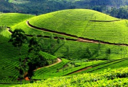 KERALA AIR PACKAGE EX DELHI