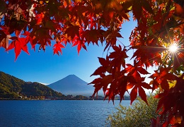 JAPAN EX DELHI