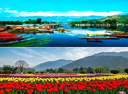 JANNAT-E-KASHMIR