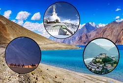 LIVELY LEH LADAKH EX TRIVANDRUM