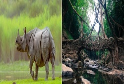 ASSAM MEGHALAYA EX TRIVANDRUM