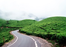 ENCHANTING MUNNAR