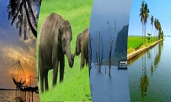 KERALA LUSH GREEN HILLS