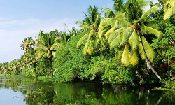 KERALA GODS OWN COUNTRY