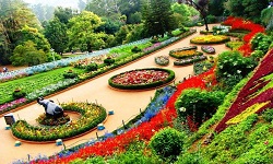MANGALORE OOTY RTP PACKAGE