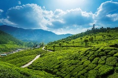 KERALA HILLS & WATERS