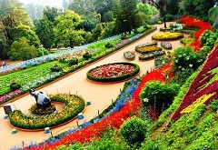 ULTIMATE OOTY EX HYDERABAD