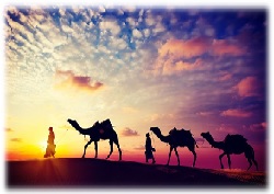 ROYAL RAJASTHAN EX CHENNAI
