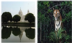 CLASSIC KOLKATA & ROYAL SUNDARBANS