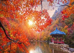 FASCINATING SOUTH KOREA WITH JEJU ISLAND & NAMI ISLAND EX CHENNAI