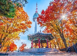 LOVELY SEOUL WITH NAMI  ISLAND