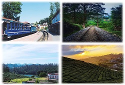 MADURAI-OOTY-METTUPALAYAM PACKAGE EX MADURAI