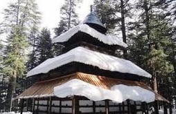 SHIMLA - MANALI