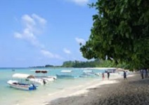 BLISSFUL ANDAMAN EX-INDORE