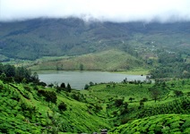 BEST OF KERALA