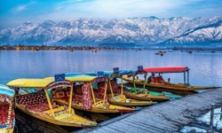 LUFT-E KASHMIR EX INDORE