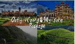 DELIGHTFUL SOUTH TOUR EX INDORE