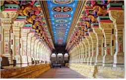 SOUTH INDIA TOUR
