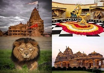 VIBRANT SAURASHTRA