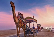 RANN OF KUTCH & BHUJ AIR PACKAGE