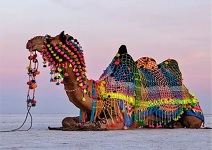 FULL MOON SPECIAL RANN OF KUTCH & BHUJ AIR PACKAGE
