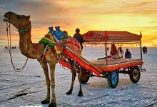 CHRISTMAS & NEW YEAR SPECIAL RANN OF KUTCH & BHUJ AIR PACKAGE