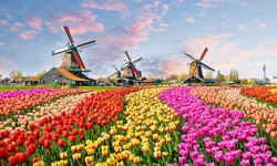 KEUKENHOF SPECIAL GLIMPSES OF EUROPE EX PUNE
