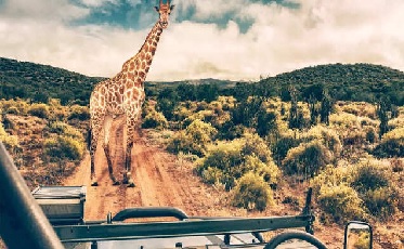 SOUTH AFRICA TOUR EX MUMBAI